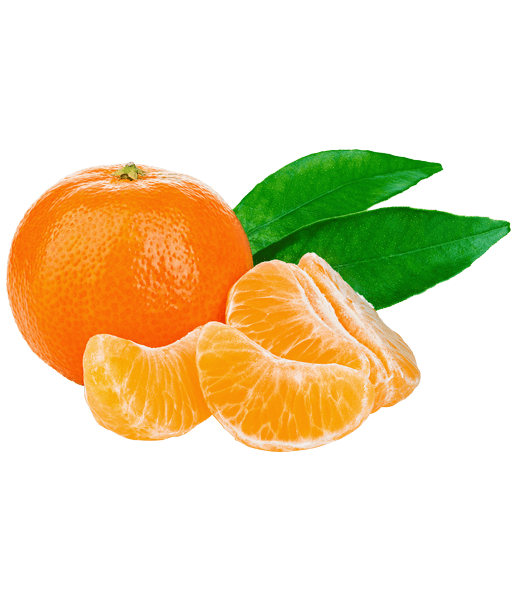 Mandarina